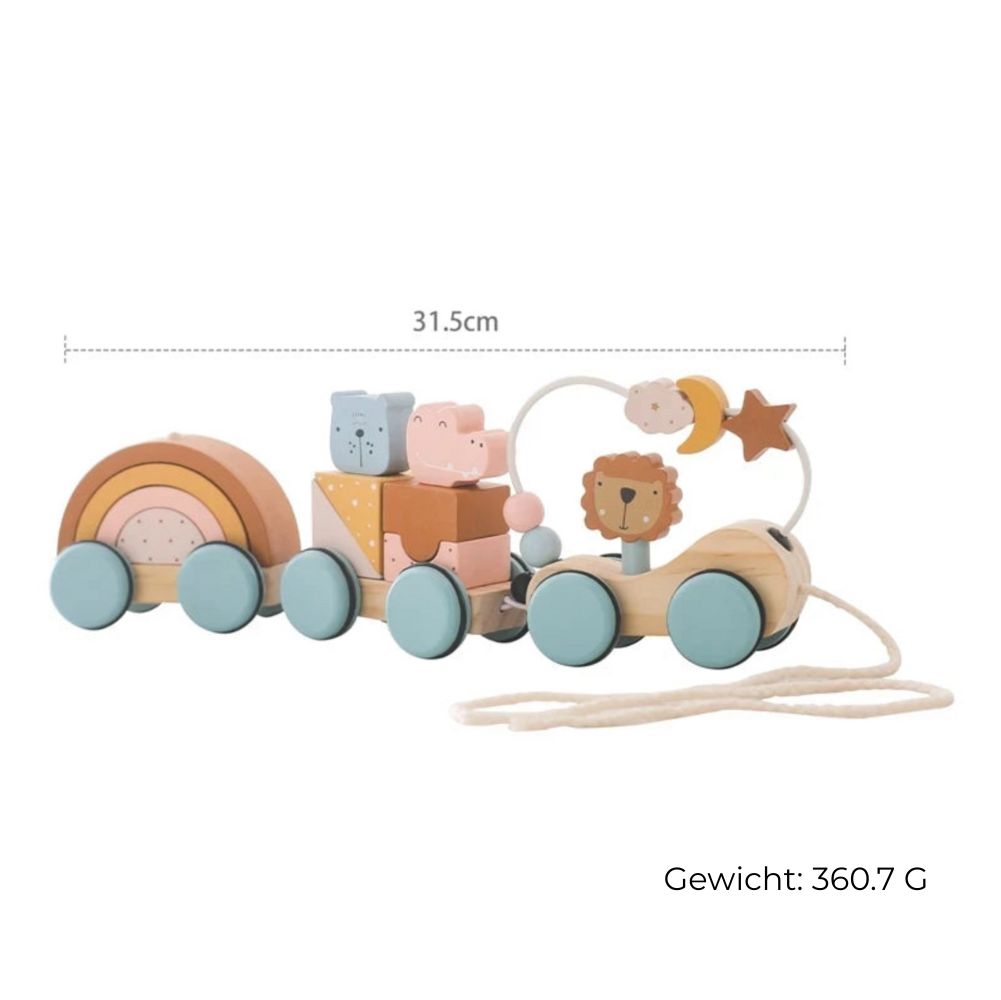 Holzspielzug - Montessori Lernspielzeug