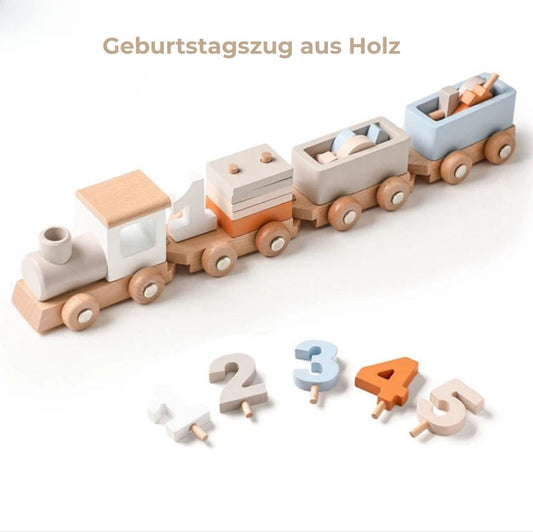Holzspielzug - Montessori Lernspielzeug