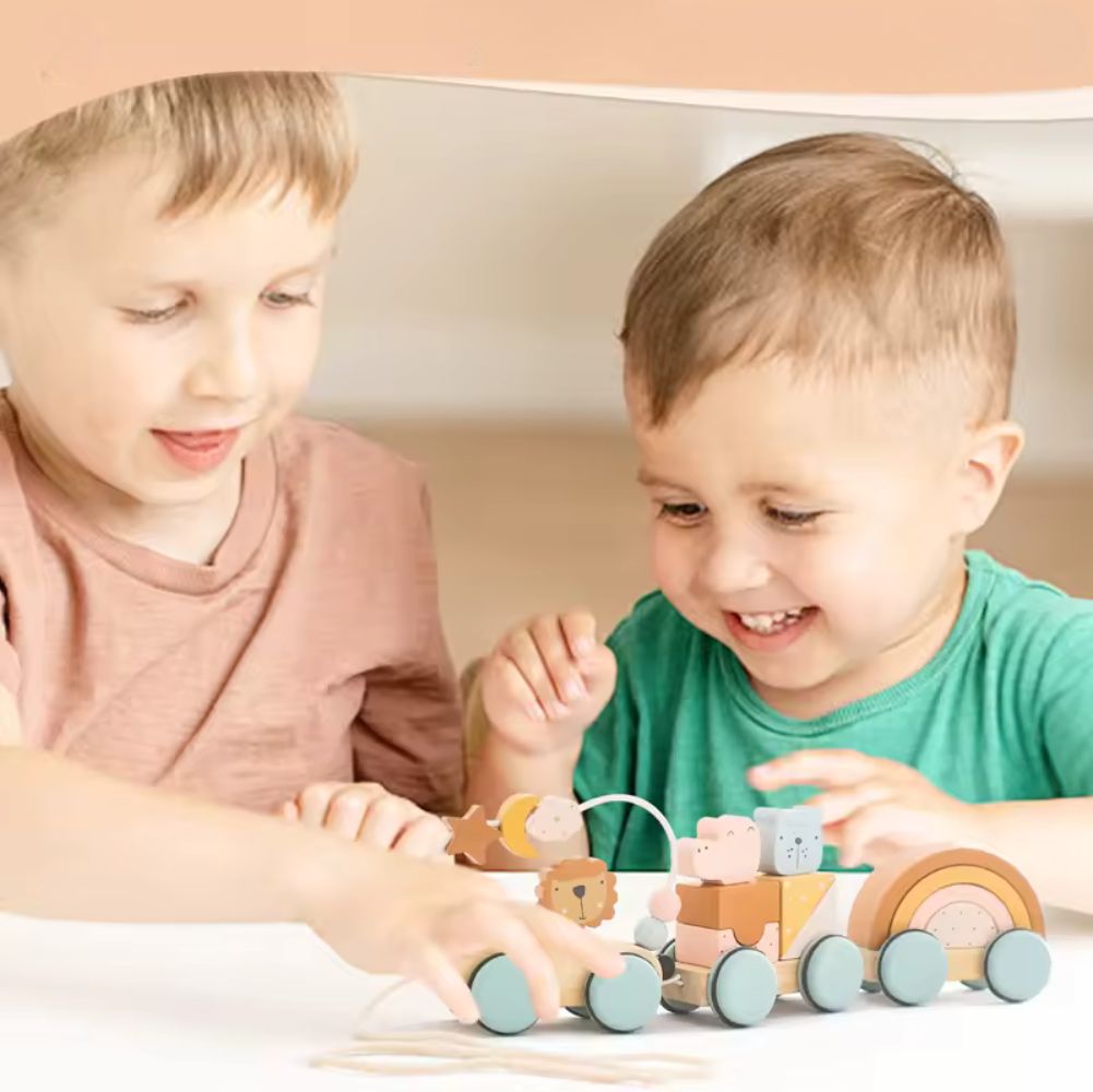 Holzspielzug - Montessori Lernspielzeug