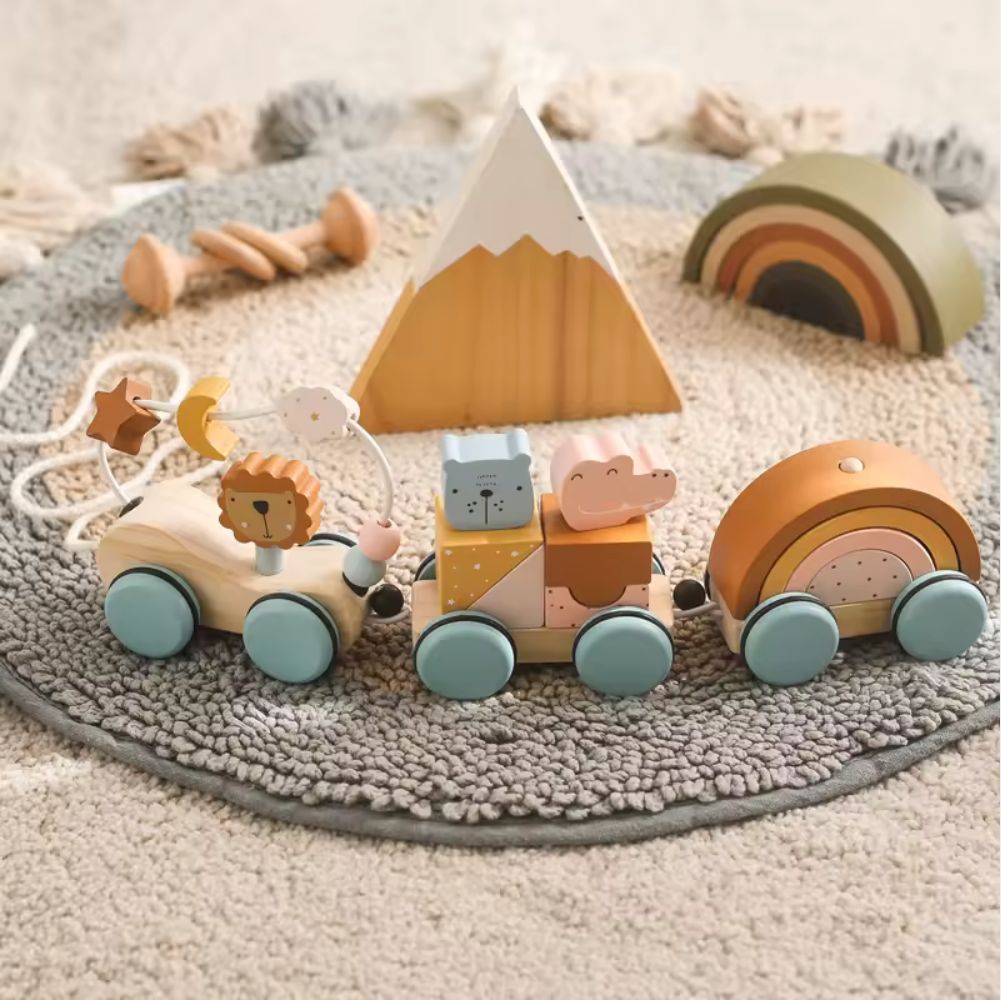 Holzspielzug - Montessori Lernspielzeug